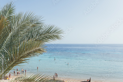 Foto view of the sea and the beach through the leaves of a palm tree
