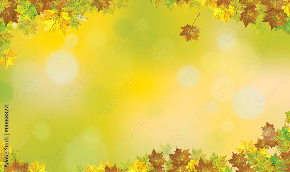 Vector autumnal maples  leaves border, autumn  background.