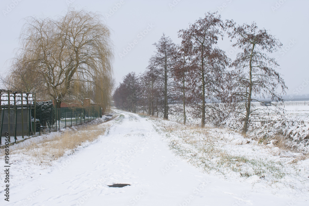 Obraz premium White road