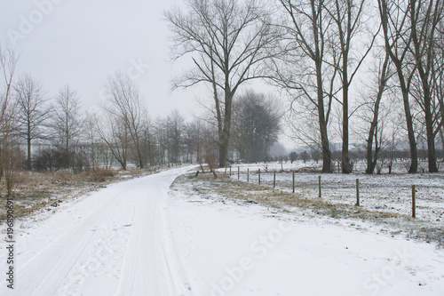 Snowy path with trees and a gray sky © Farantsa