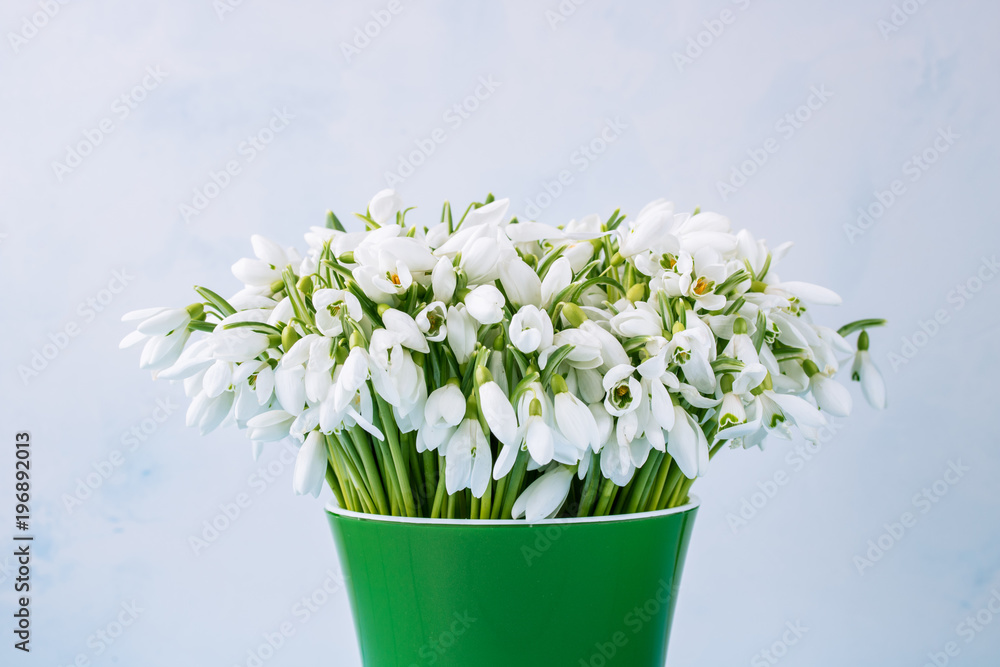 bouquet of snowdrops in a green pot on a white background
