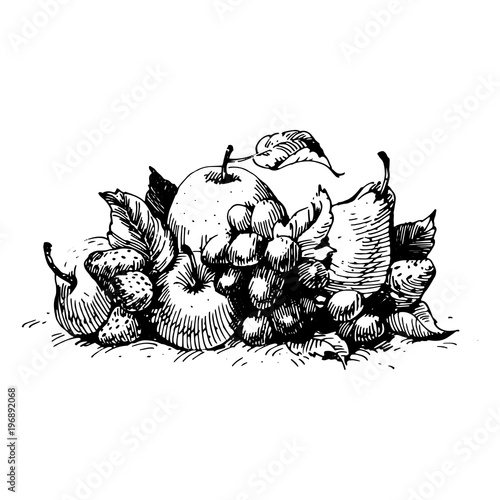 Wallpaper Mural Black Ink drawing illustration.  Torontodigital.ca