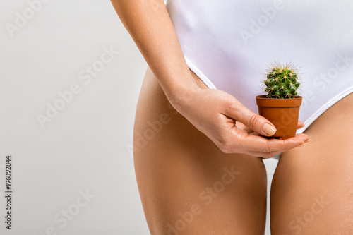 Depilation in the bikini zone. A woman holding a cactus in her hand