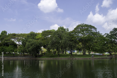 Park Pond Landscape