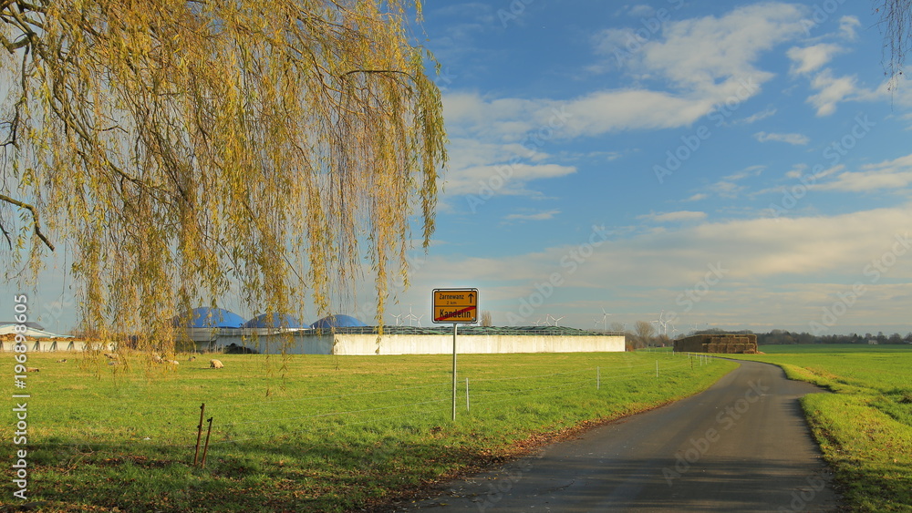 Fototapeta premium End of the village Kandelin with meadow and road leading to the next village Zarnewanz