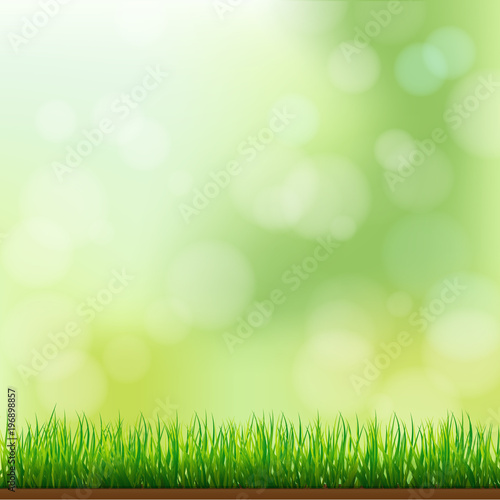 Fototapeta Naklejka Na Ścianę i Meble -  Natural Green Grass Background with Focus and Bokeh