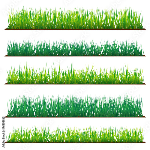 Set of Backgrounds Of Green Grass, Isolated On White Background, Raster Illustration