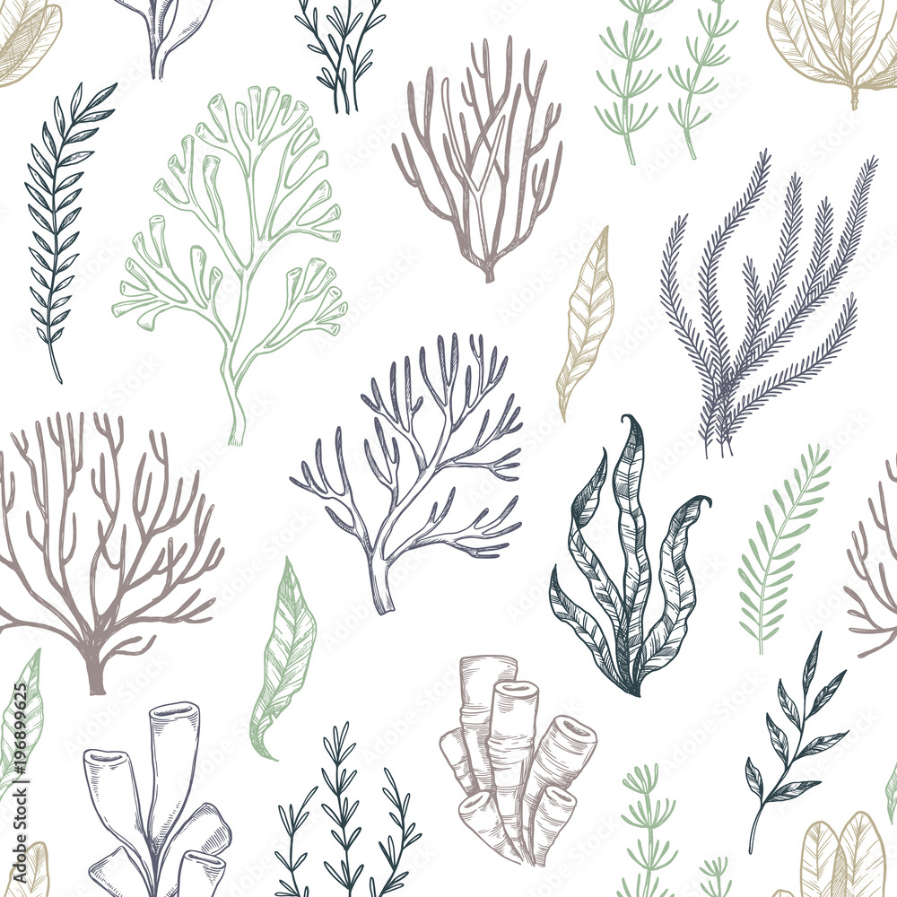 Hand drawn vector seamless patterns. Seaweed. Background with herbal ...