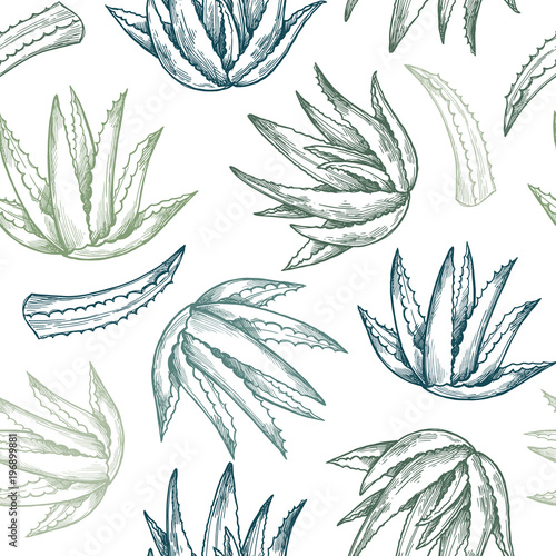Hand drawn vector seamless pattern. Aloe vera. Herbal Background in sketch style. Perfect for cosmetics labels, invitations, cards, leaflets etc