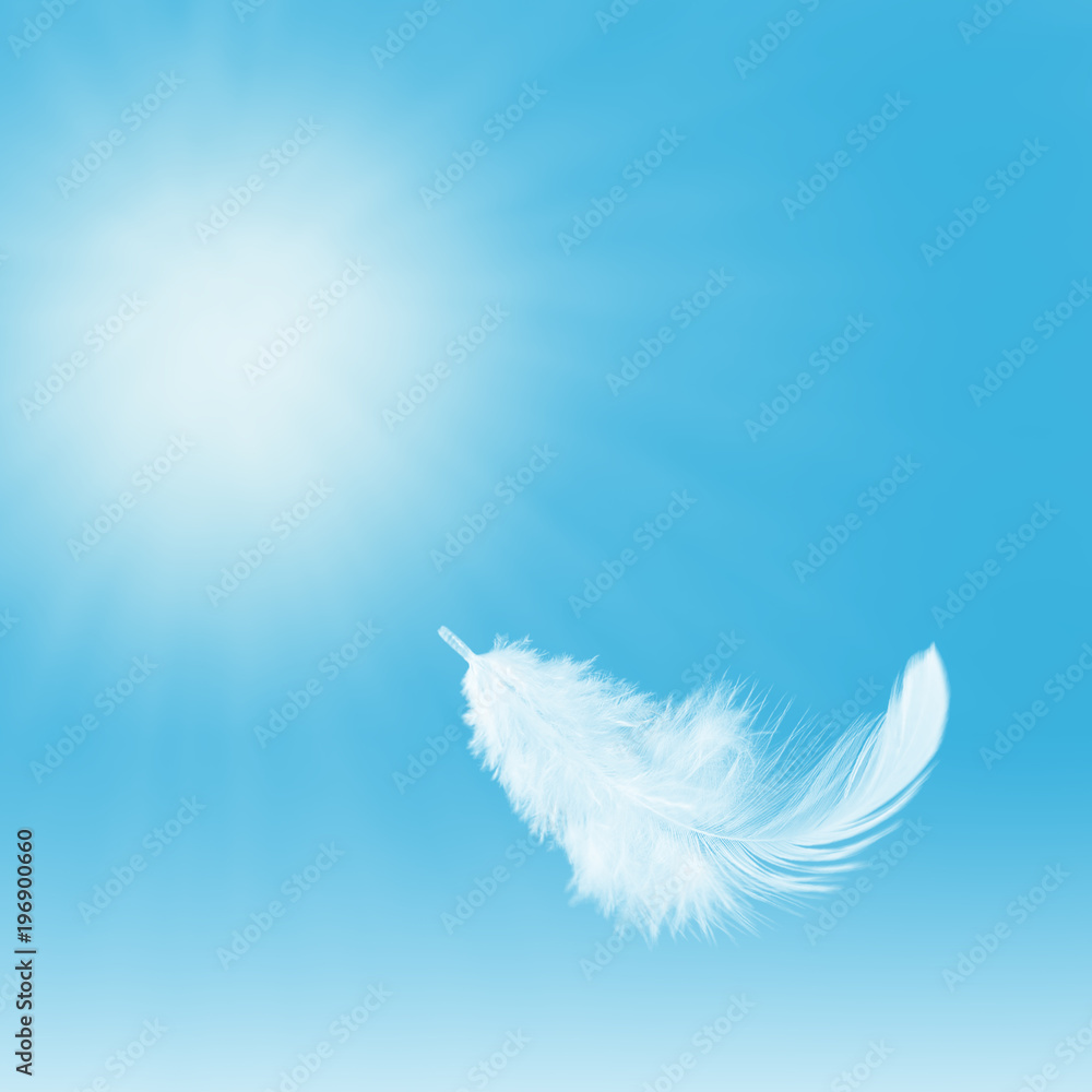 Abstract. Light fluffly white feather floating in the sky. Abstract. Light fluffly white feather floating in the sky.