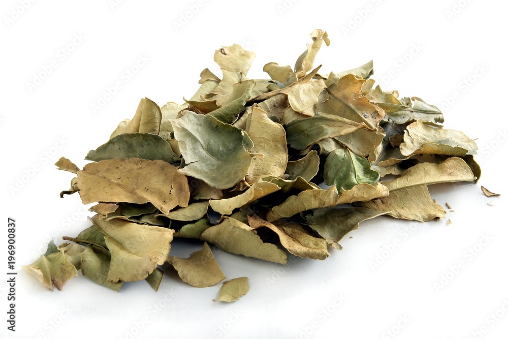 dried leaves of kaffir as spice dried leaves of kaffir as spice