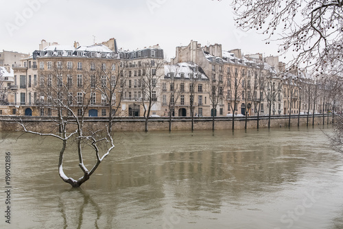 Photography Paris under the snow and floods, flooded quays, trees under the water, the Seine