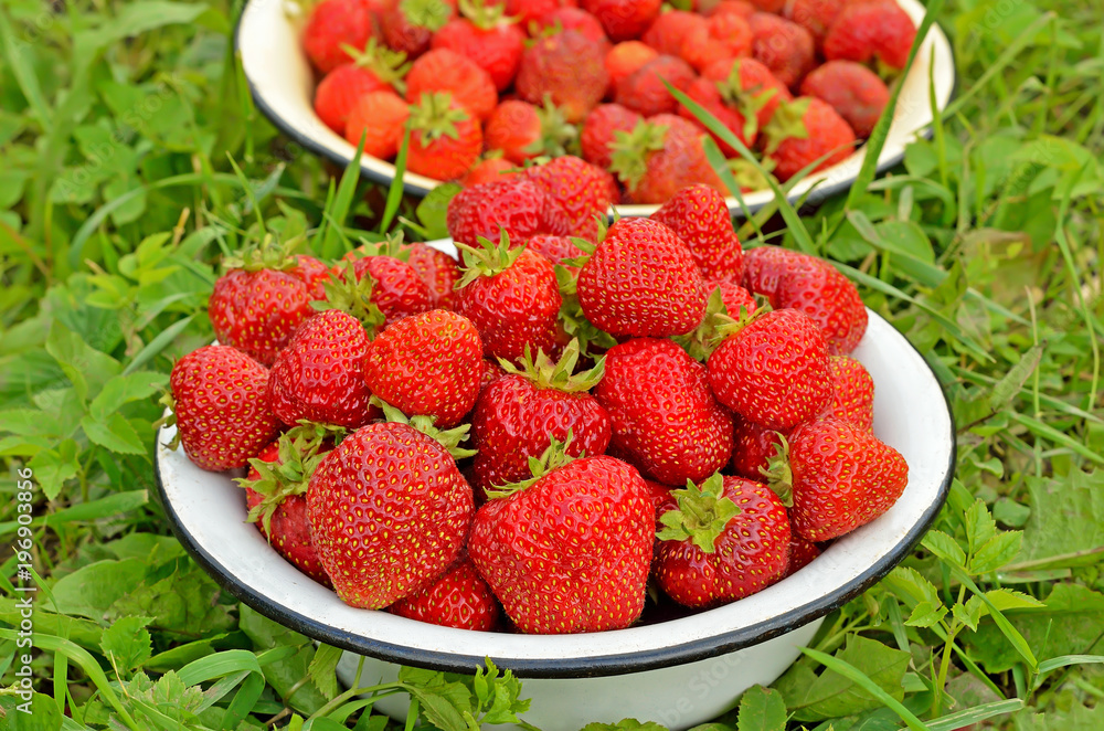Fresh strawberries in bowl Fresh strawberries in bowl