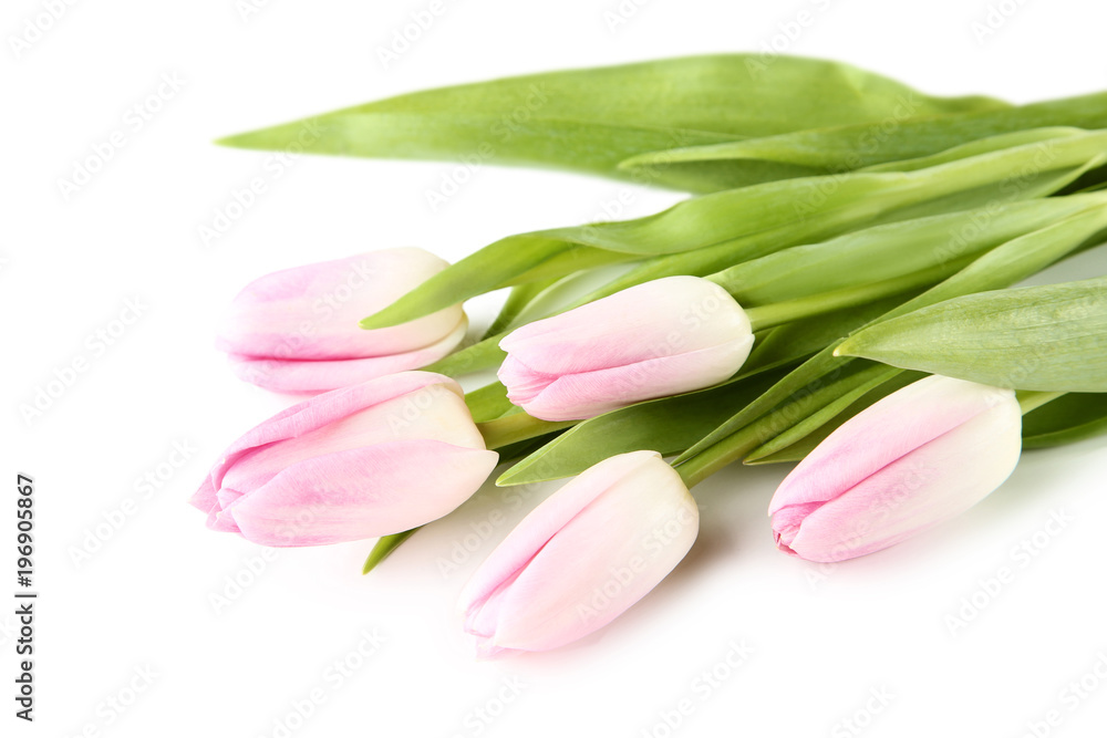 Bouquet of pink tulips on white background