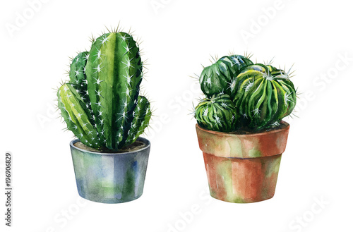 Cacti watercolor isolated on white. Cactus illustration can be used as print,...