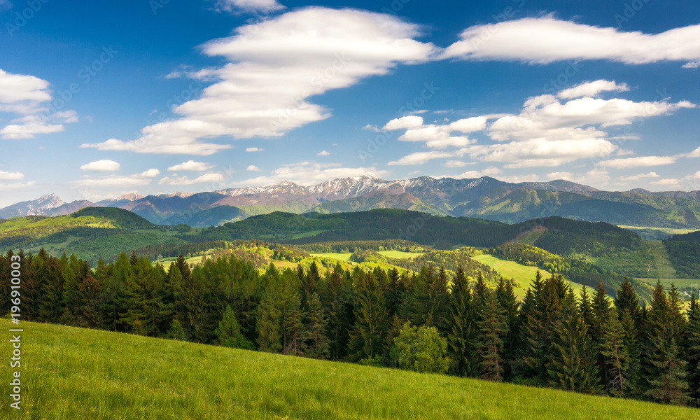 Mountain landscape in spring-time, the national park Mala Fatra, Slovakia, Europe.