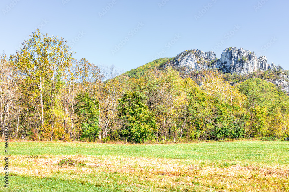 View of Seneca Rocks from visitor center during autumn, golden yellow foliage on trees in forest, lawn meadow grass