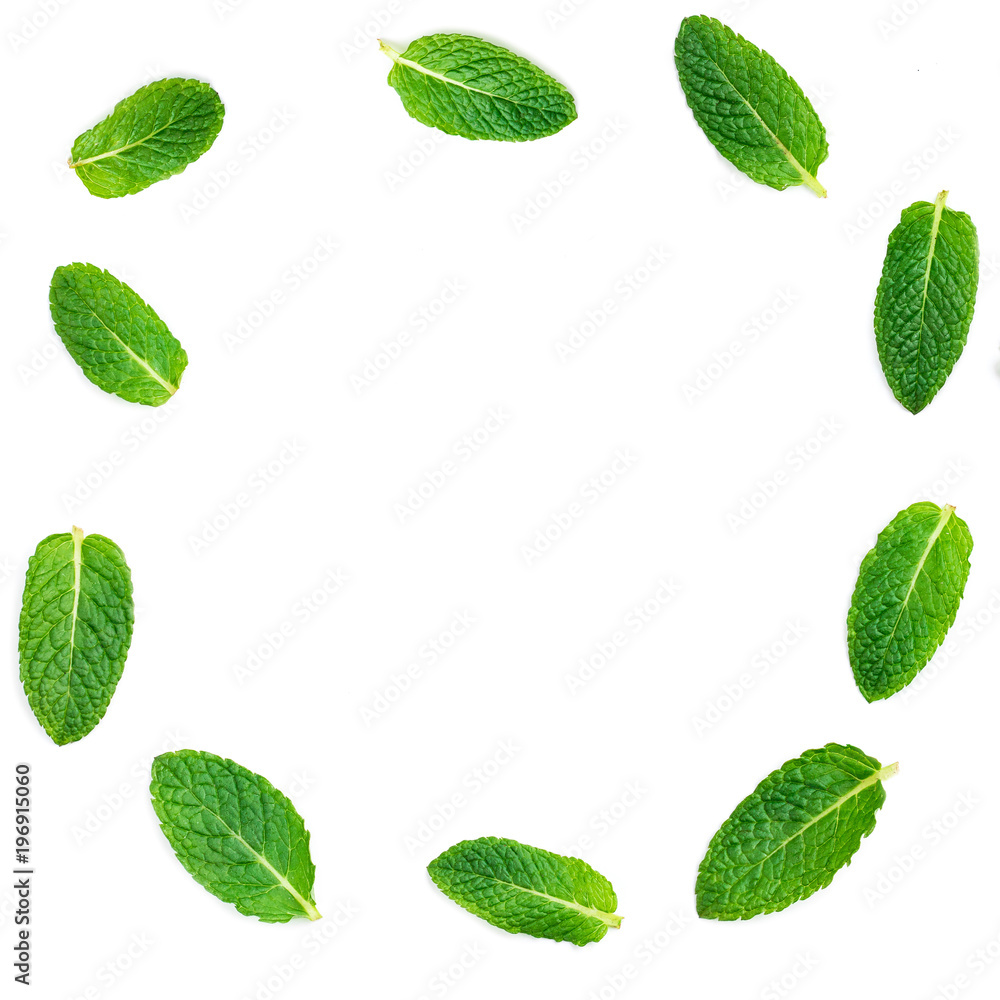 Fresh mint leaves set isolated on white background in circle shape