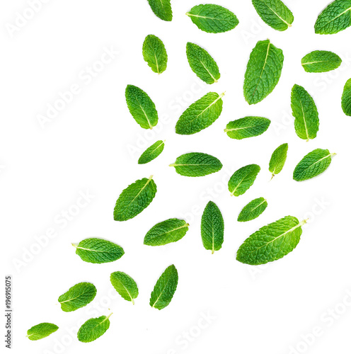 Fresh mint leaves falling in the air isolated on white background. Set of peppermint, close up.