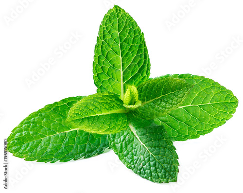 Fresh raw mint leaves isolated on white background, close up.