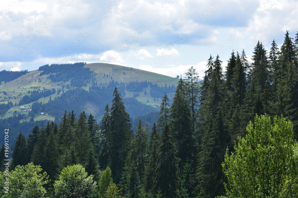 mountain landscape mountains forest