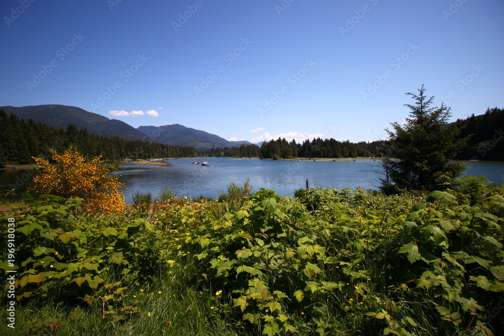 lac sur l'île de Vancouver