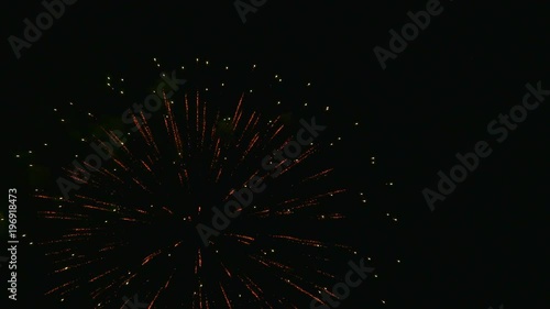 Wallpaper Mural 打ち上げ花火 Torontodigital.ca