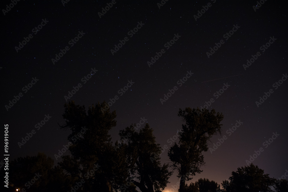 Fototapeta premium Sky full of Stars with tree Sihouette