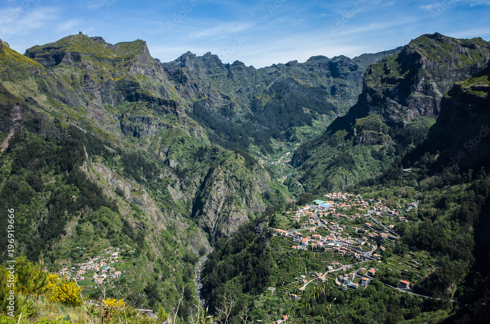 Nature in  Madeira