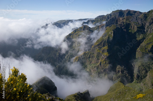Nature in Madeira
