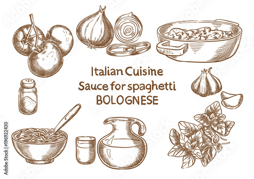 Italian cuisine. Sause for spahetti bolognese ingredients vector sketch.