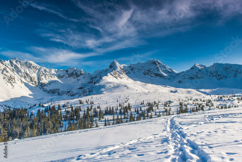 Fototapeta Naklejka Na Ścianę i Meble -  Tatra Mountains - Hala Gasienicowa, winter
