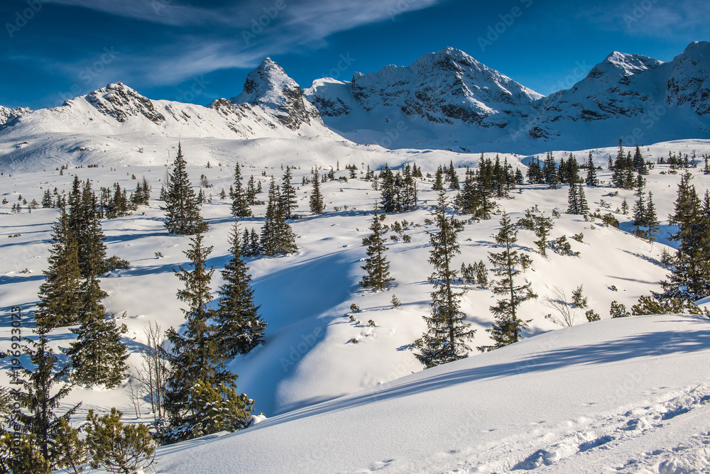 Fototapeta premium Tatra Mountains - Hala Gasienicowa, winter
