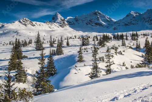 Fototapeta Naklejka Na Ścianę i Meble -  Tatra Mountains - Hala Gasienicowa, winter