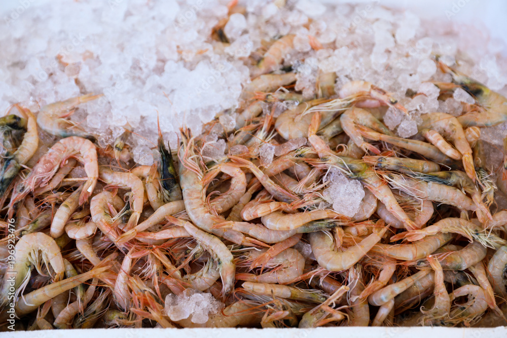 The raw shrimps Parapenaeus Longirostris background.