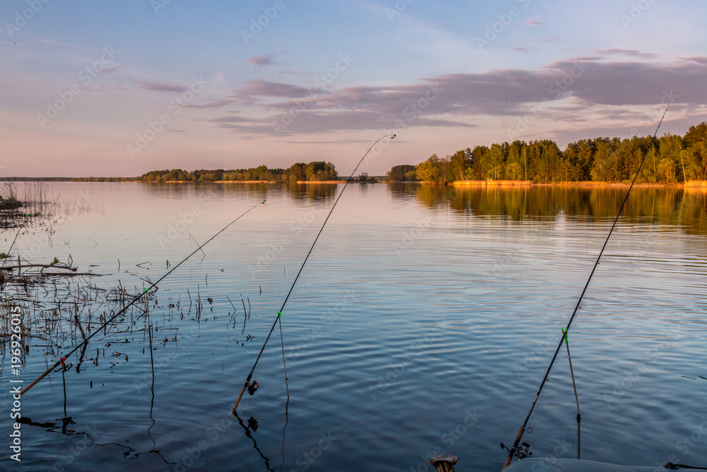 fishing pole on the river bank