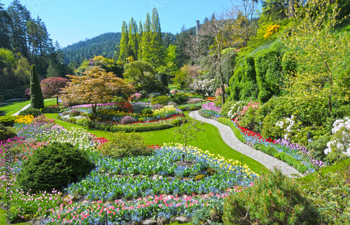 Lawn and Flower beds in the Spring with Lush colors, Victoria, Canada  photo