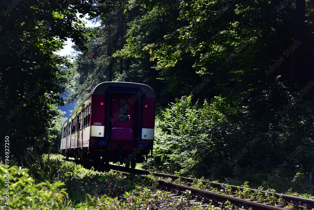 Fototapeta premium A Train Entering A Forest in Turnov, Czech Republic