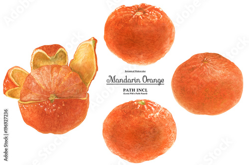 Mandarin Orange Fruit photo