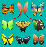 Butterfly vector colorful insect flying for decoration and beautiful butterflies wings fly in spring illustration set isolated on white background
