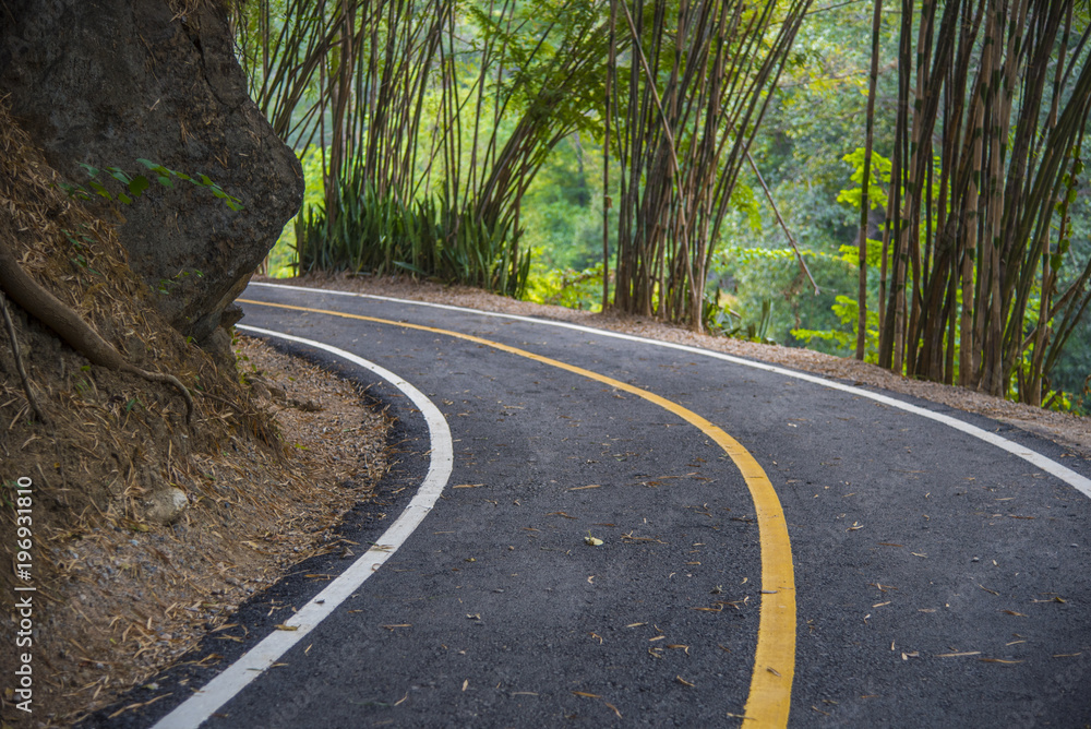 Obraz premium Walking trail in tropical forest