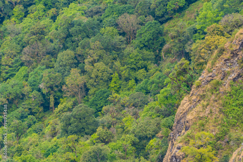 mountain field, nature location in Thailand mountain field, nature location in Thailand
