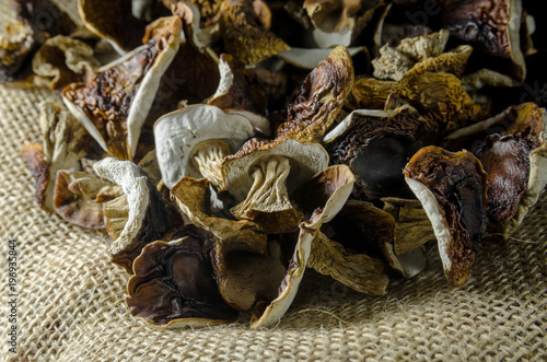 dried mushrooms boletus vegeterian food canvas pine cones