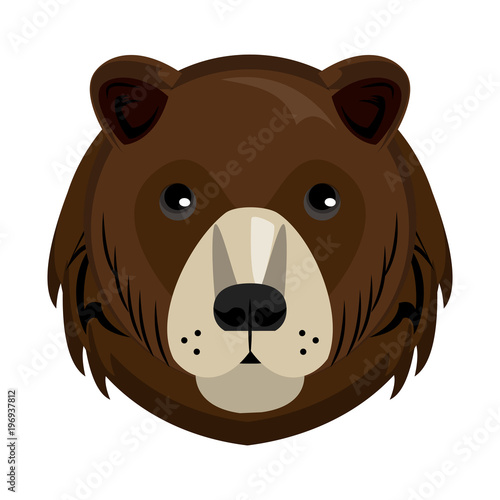 Bear Wild animal head vector illustration graphic design