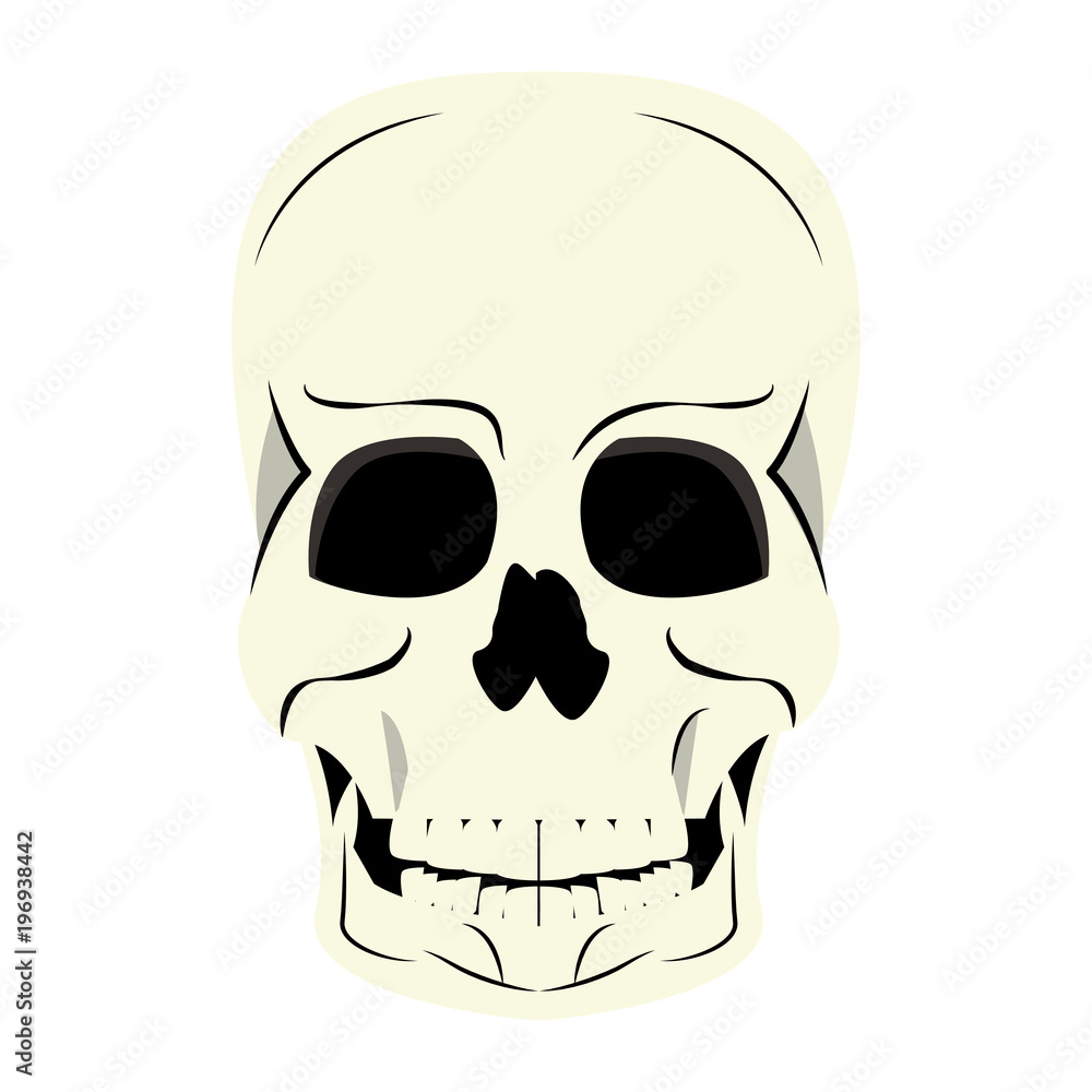 Human skull cartoon vector illustration graphic design
