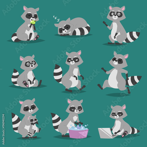 Raccoon vector illustration cartoon set of fun smile drawing artwork furry cartoon raccoon cute mammal. Wild tail nature happy cartoon raccoon mammal gesture wildlife character