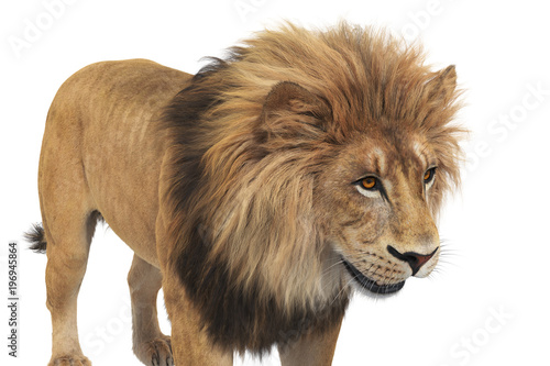 Fototapeta Naklejka Na Ścianę i Meble -  Lion animal beige leo big dangerous carnivore, close view. 3D rendering