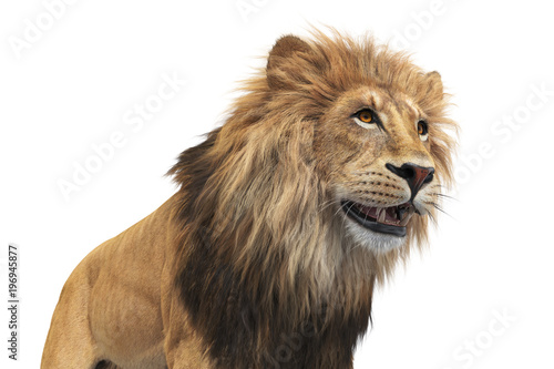 Fototapeta Naklejka Na Ścianę i Meble -  Lion orange leo beautiful mammal, close view. 3D rendering