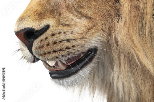 Fototapeta Naklejka Na Ścianę i Meble -  Lion wild feline big teeth, close view. 3D rendering