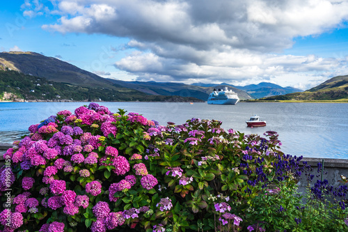 Beuatiful purple hortensia in Ullapool with Loch Broom on the background  Scotland  Britain